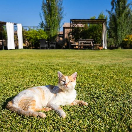 Bio Et Bois Hotel Fez Bagian luar foto