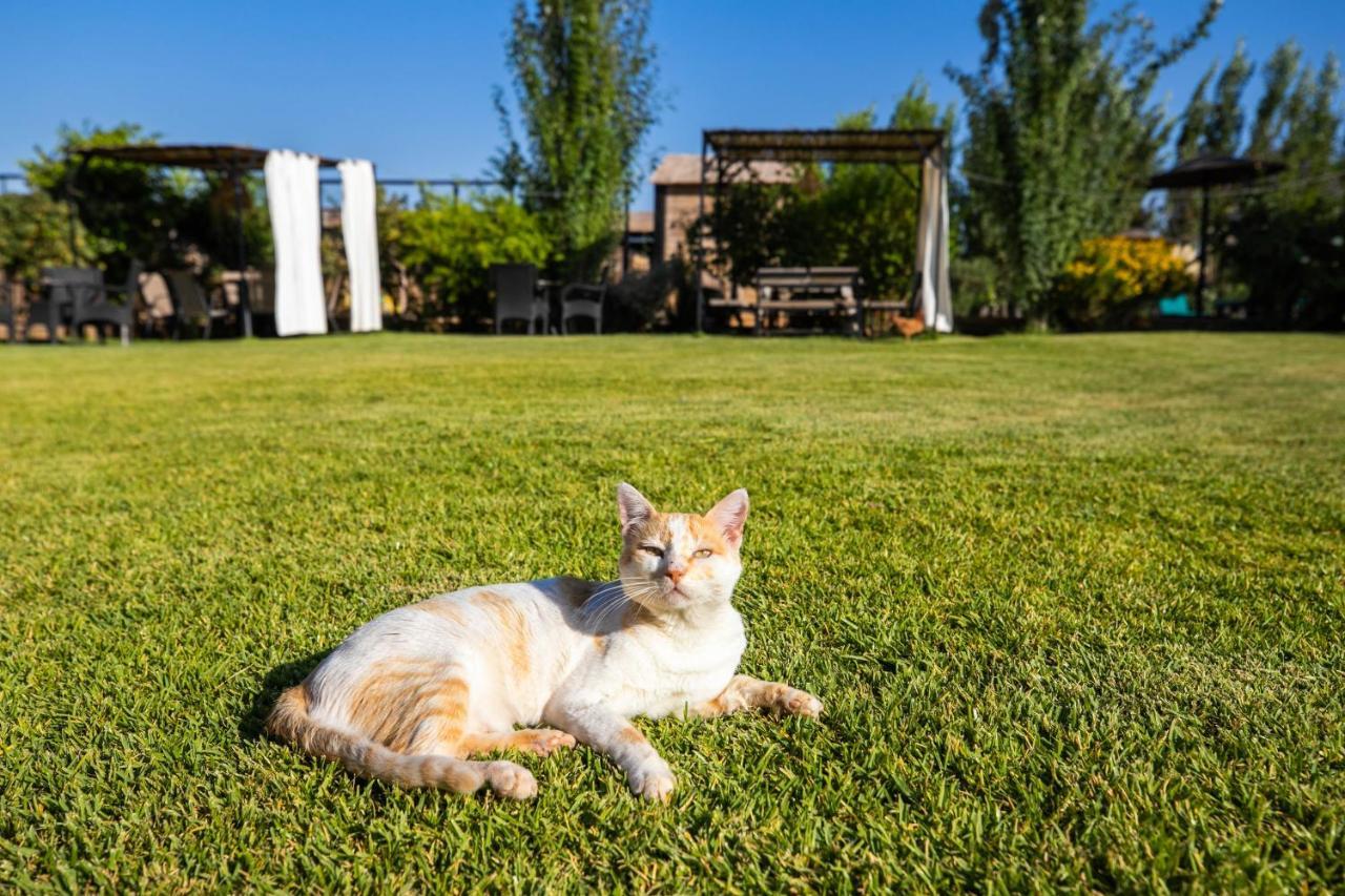 Bio Et Bois Hotel Fez Bagian luar foto